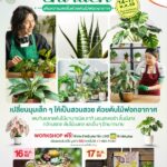 ชวนช้อปต้นไม้ฟอกอากาศ เติมความสดชื่นให้ทุกมุมโปรด ในงาน “Plant Garden” @พาราไดซ์ พาร์ค
