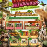 เดอะไนน์ เซ็นเตอร์ พระราม 9 ชวนเด็กๆ เปิดโลกธรรมชาติ เรียนรู้ชีวิตสัตว์ป่า                          ในงาน Into The Woods #นักล่าสายโหด ปะทะ โหมดหน้ามึนแสนดี 30 ก.ค.- 12 ส.ค.นี้